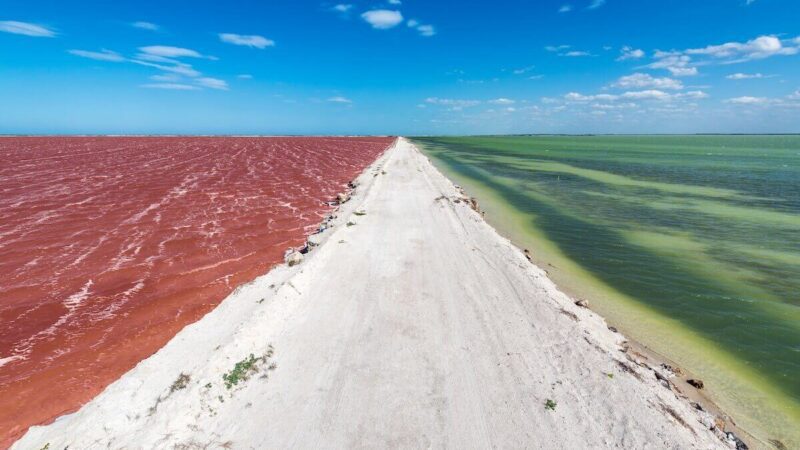 Pinke Salzseen von Las Coloradas, Yucatán