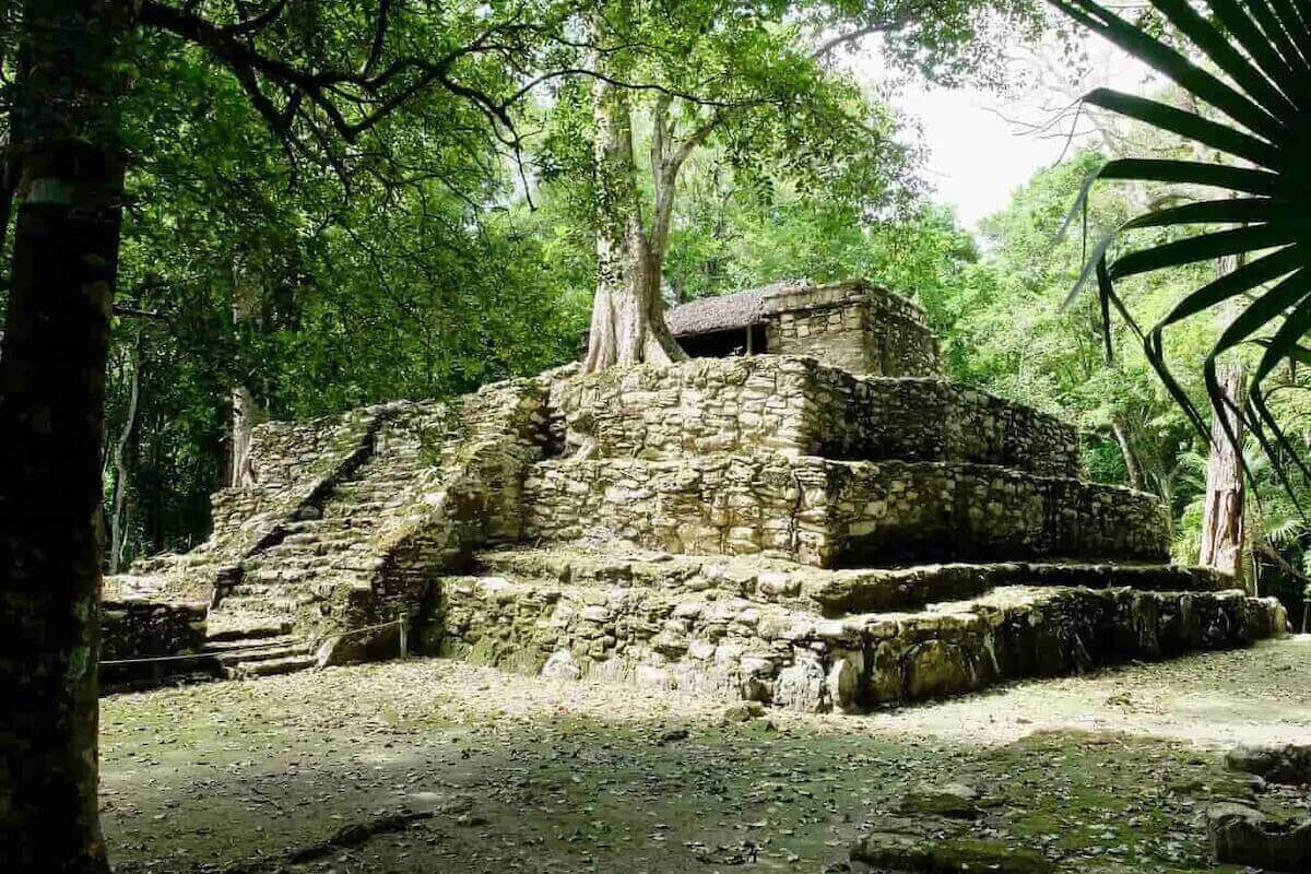 Le temple maya de Muyil, situé dans la jungle dense aux abords de Sian Ka'an