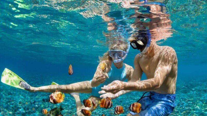 Plongée libre dans la mer des Caraïbes, près de Playa del Carmen