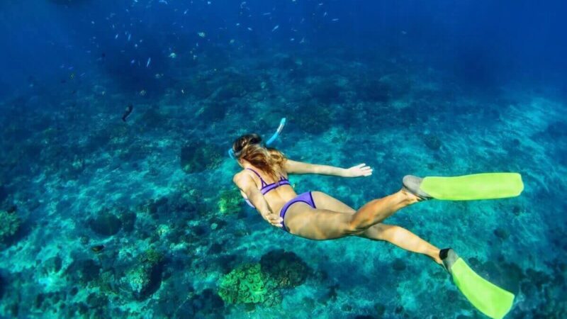 Plongée en apnée à Playa del Carmen