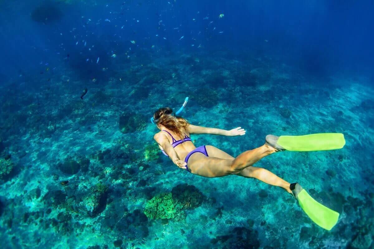 Faire de la plongée libre dans les eaux cristallines au large de Playa del Carmen
