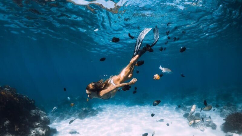 Plongée avec tuba à Playa del Carmen