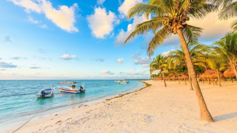 Plongée libre avec les tortues marines à Akumal