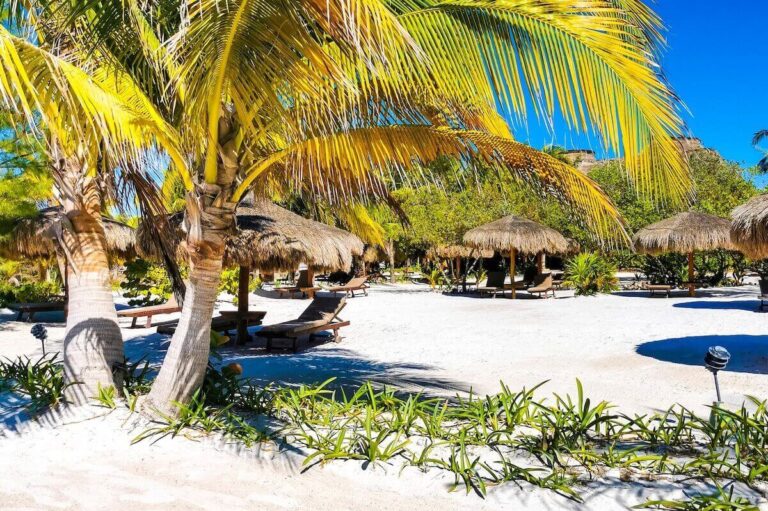 Sargassum an der Riviera Maya: Was du 2026 wirklich wissen musst