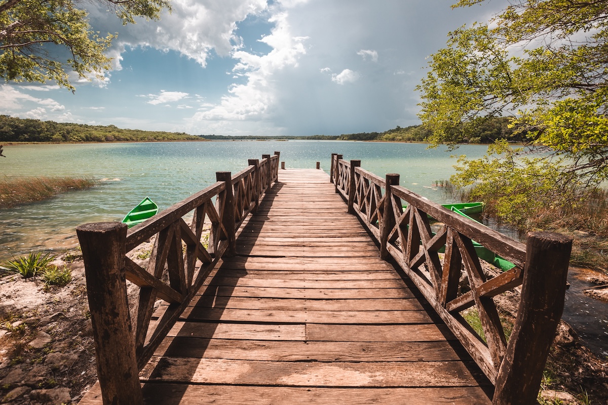 Klammeraffe in Punta Laguna, ein Höhepunkt für alle, die Coba besuchen