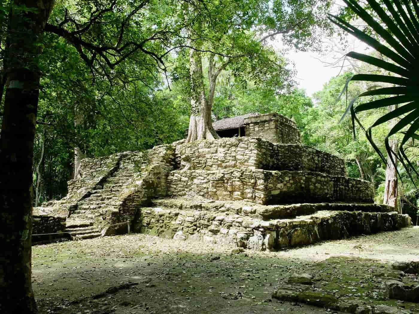Hauptpyramide der Maya-Ruinen von Muyil, Mexiko